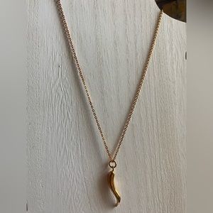 Gold horn necklace